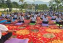 योग की छांव में विकास का संकल्प, एमडीडीए सिटी फॉरेस्ट पार्क बना स्वास्थ्य और प्रकृति का महाकुंभ