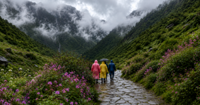 लगातार बारिश के चलते फूलों की घाटी पर्यटकों के लिए बंद, प्रशासन ने सुरक्षा को दी प्राथमिकता