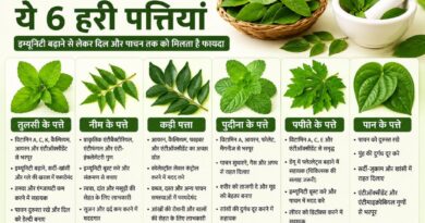 सेहत के लिए किसी वरदान से कम नहीं हैं ये 6 हरी पत्तियां, इम्यूनिटी बढ़ाने से लेकर दिल और पाचन तक को मिलता है फायदा