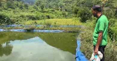 मछली पालन से स्वरोजगार की मिसाल पेश कर रहे पाबौ के राजेंद्र चमोली