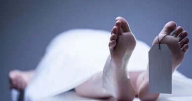 भाबर में बड़ा हादसा: पेड़ गिरने से एक की मौत, दूसरा गंभीर घायल